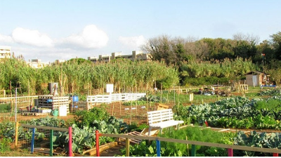 Orti Sociali: al via le domande