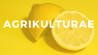 Agrikulturae in piazza dei Tigli