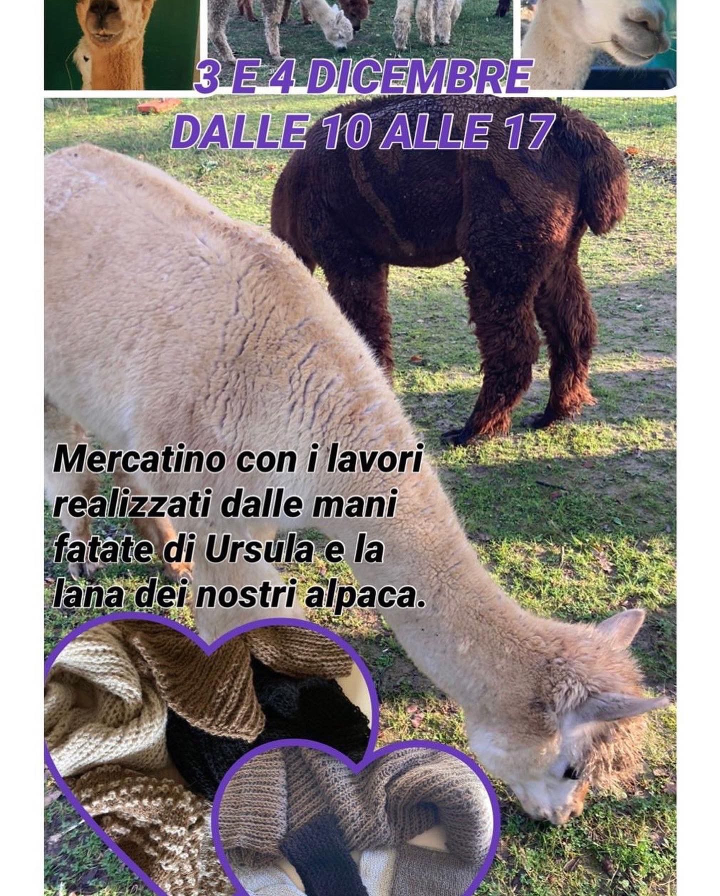 Porte aperte al Parco degli Alpaha