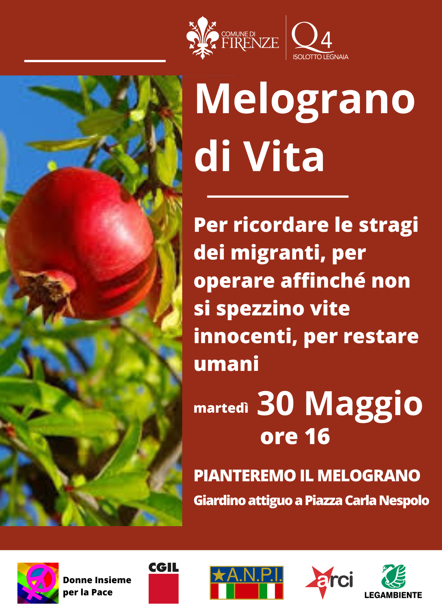 Melograno di vita