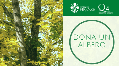 113 nuovi alberi piantati nel Q4 