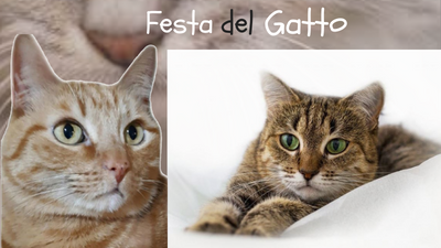 Festa del Gatto