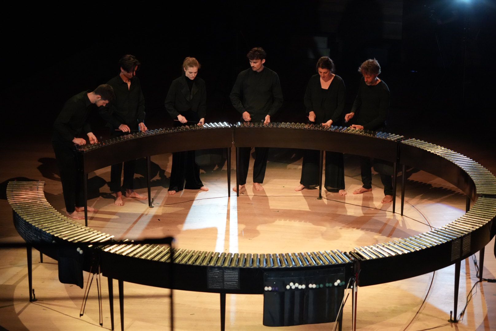 laboratorio di Bastien David/Les Insectes